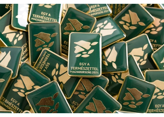 A Világkiállítás kitűzői